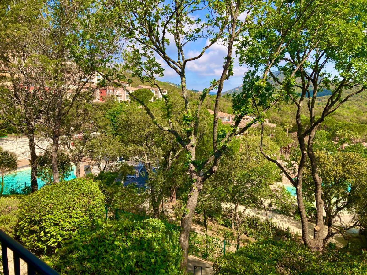 Les Restanques Bruyeres 2103 Proche Piscine Grimaud Exterior foto